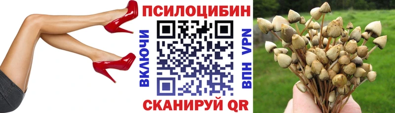 блэк спрут онион где продают наркотики Лысьва Галлюциногенные грибы прущие грибы